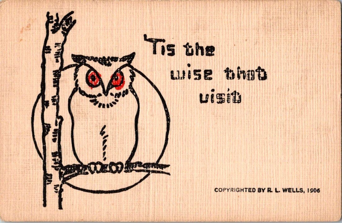 1906 R.L. Wells Owl Postcard \