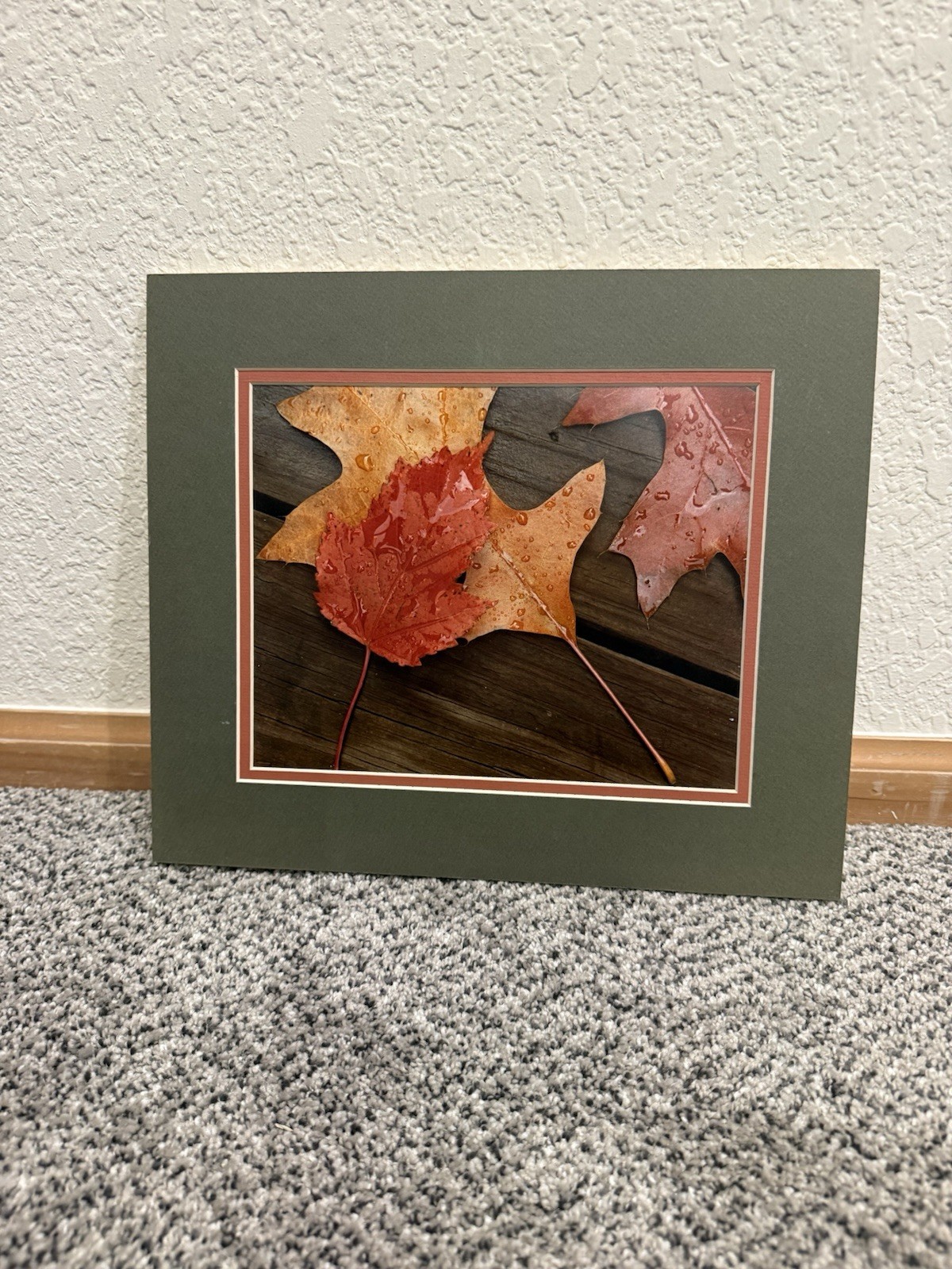 Vintage 1989 Iowa State Fair Exhibited Photo Print - 