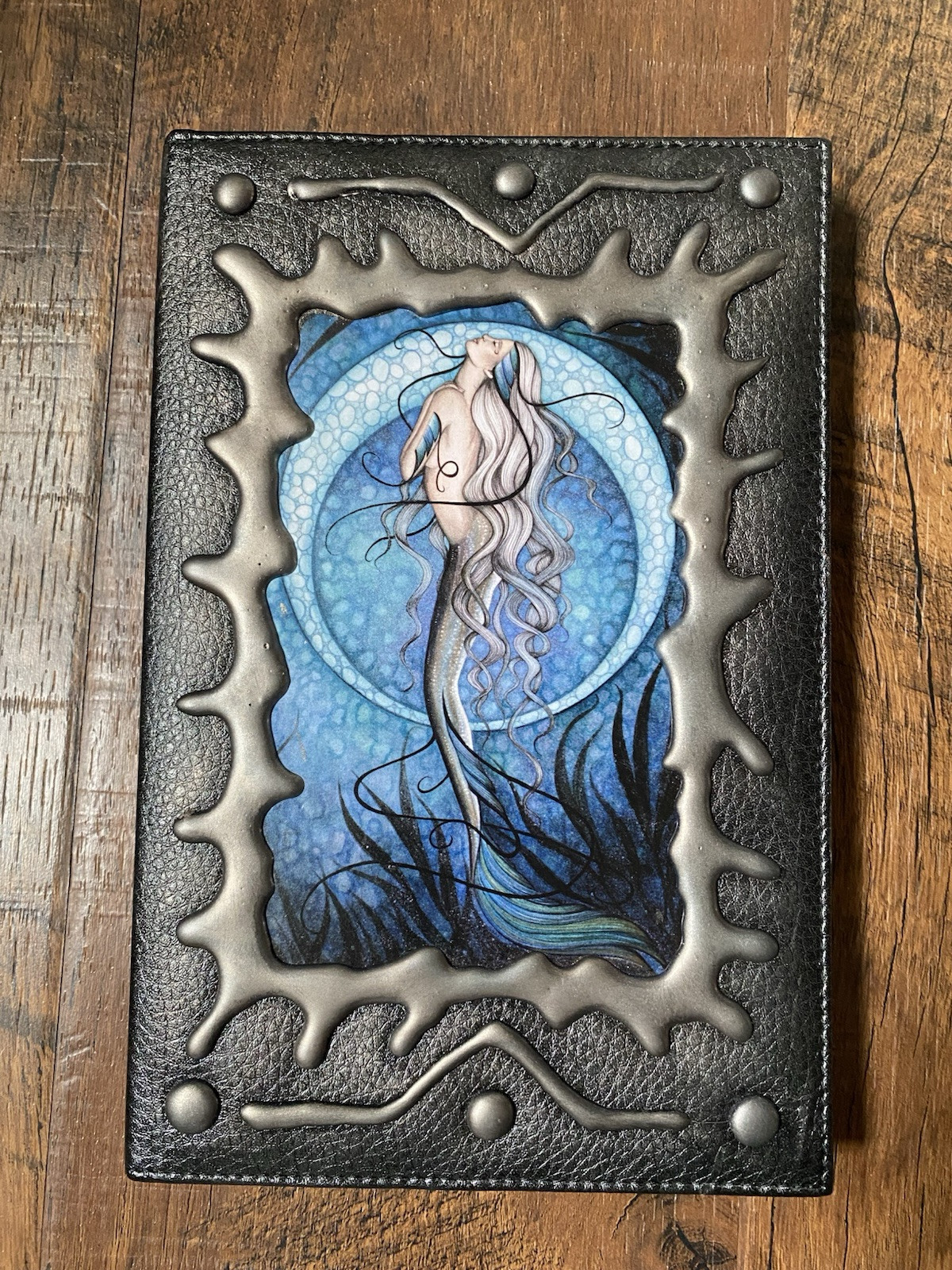 jessica galbreth Mermaid Lined Journal 2006