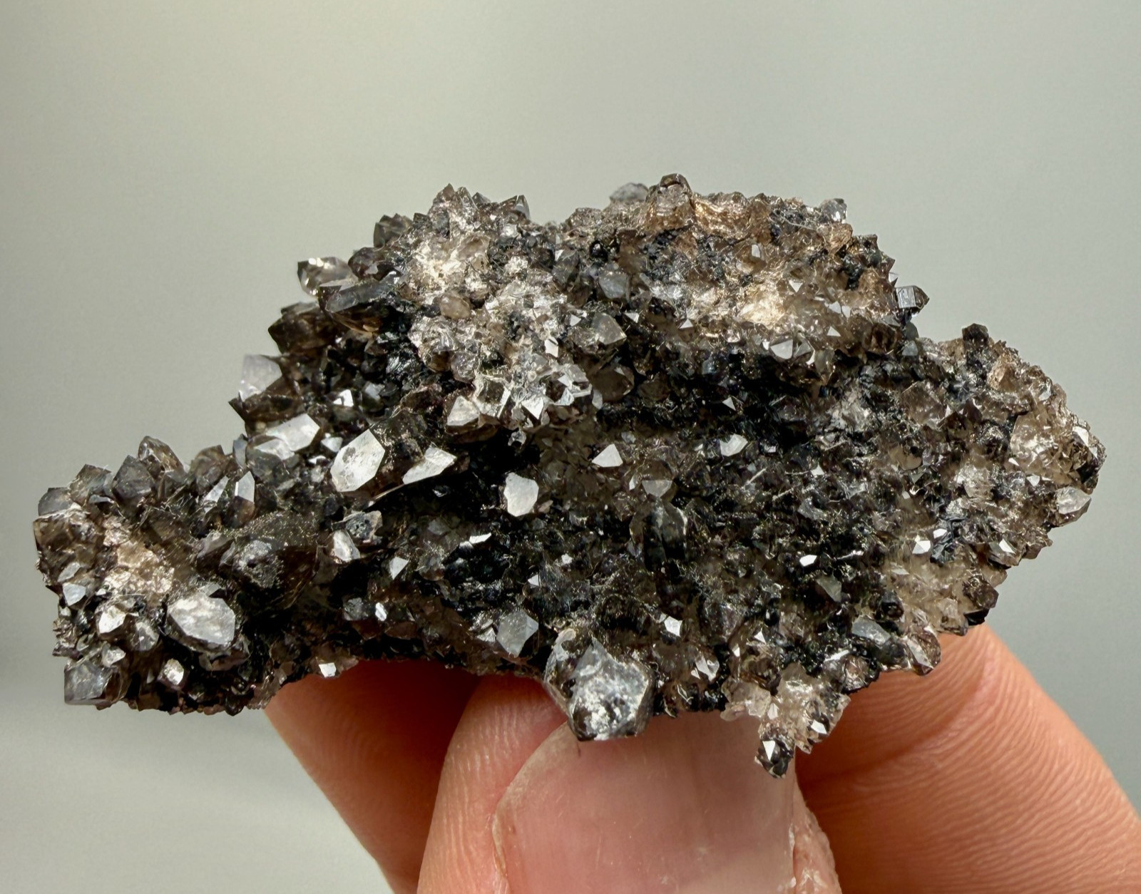 Black Druze with Hydrocarbon Phantom Percher Herkimer Diamonds, Rare Matrix
