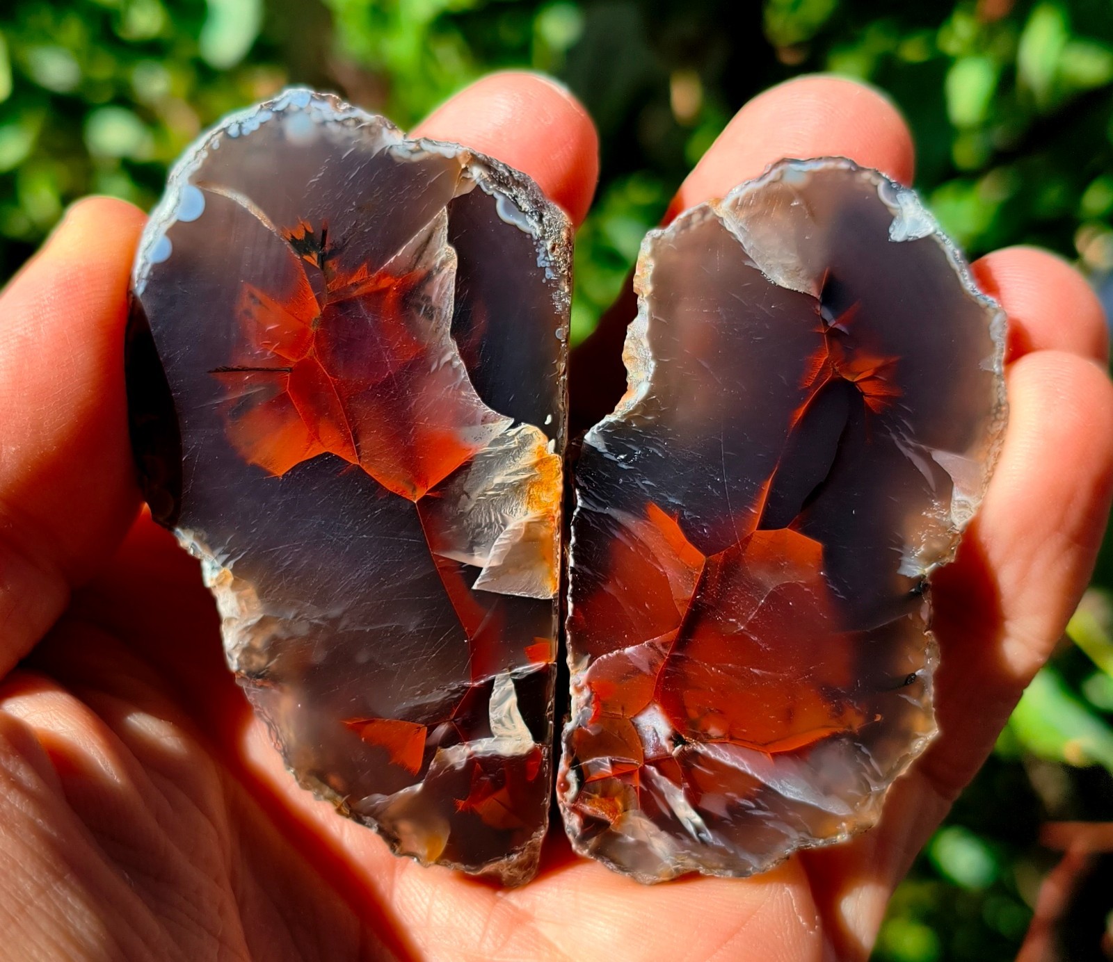Mirror Polished Extremely Rare Turkish Red Fox Agate Pair Uv Fluorescent