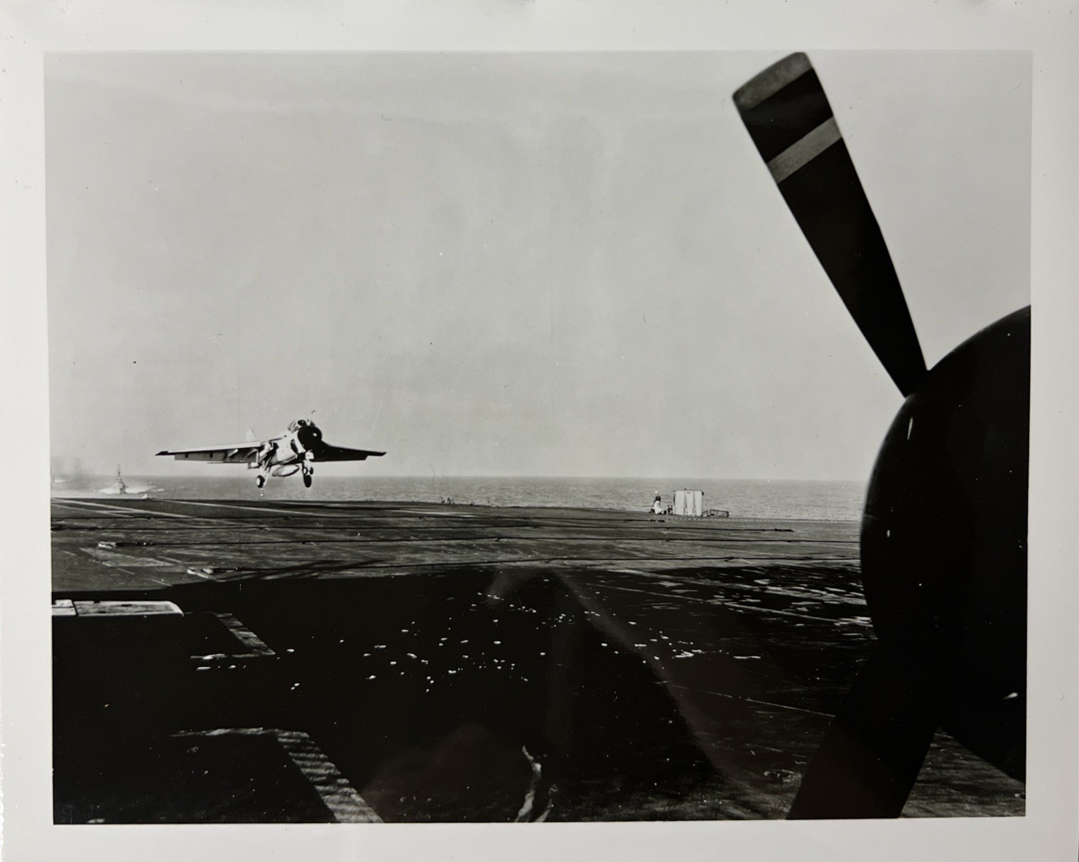 Vintage US Navy Military Aircraft Original 8x10 Kodak Photograph Aviation