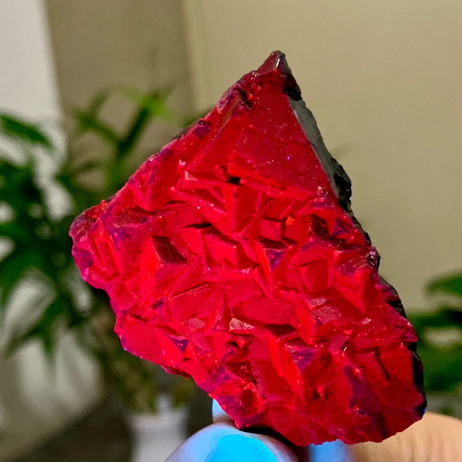 51G Natural black rose fluorescent cube fluorite crystal glow under UV light