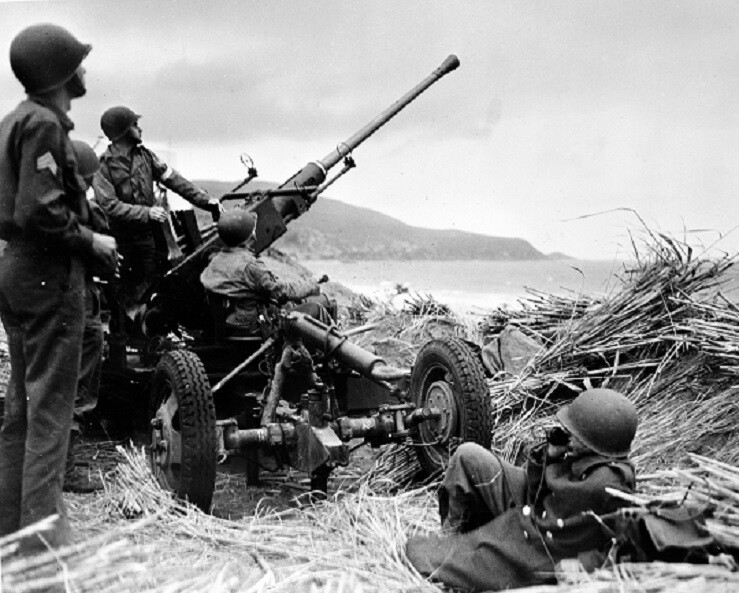 United States Anti-Aircraft Artillery Crew on Algeria Beach 8x10 WWII Photo 536a