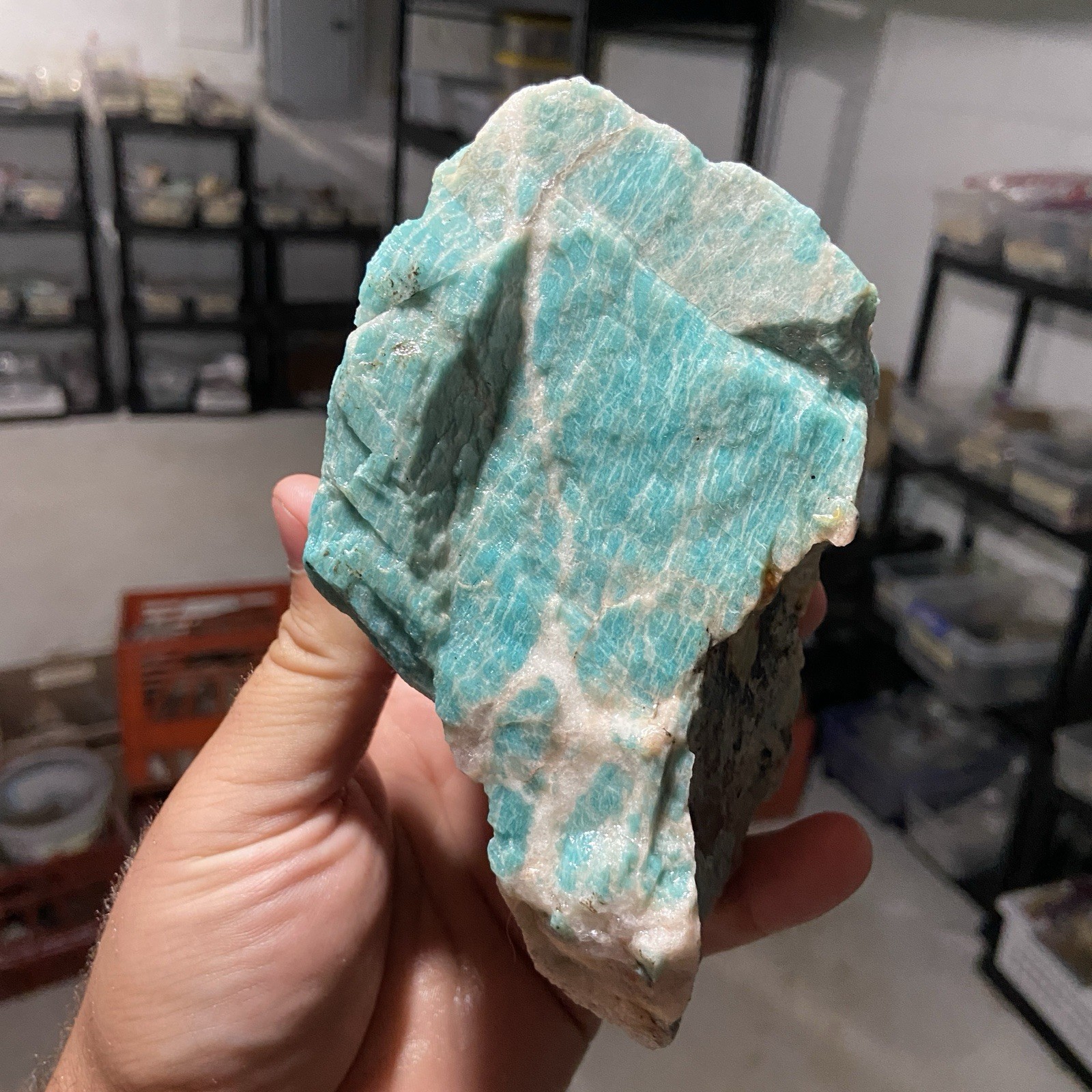 Grade A Vibrant Amazonite Natural Rough Stone 2 Pounds 5.85 Oz
