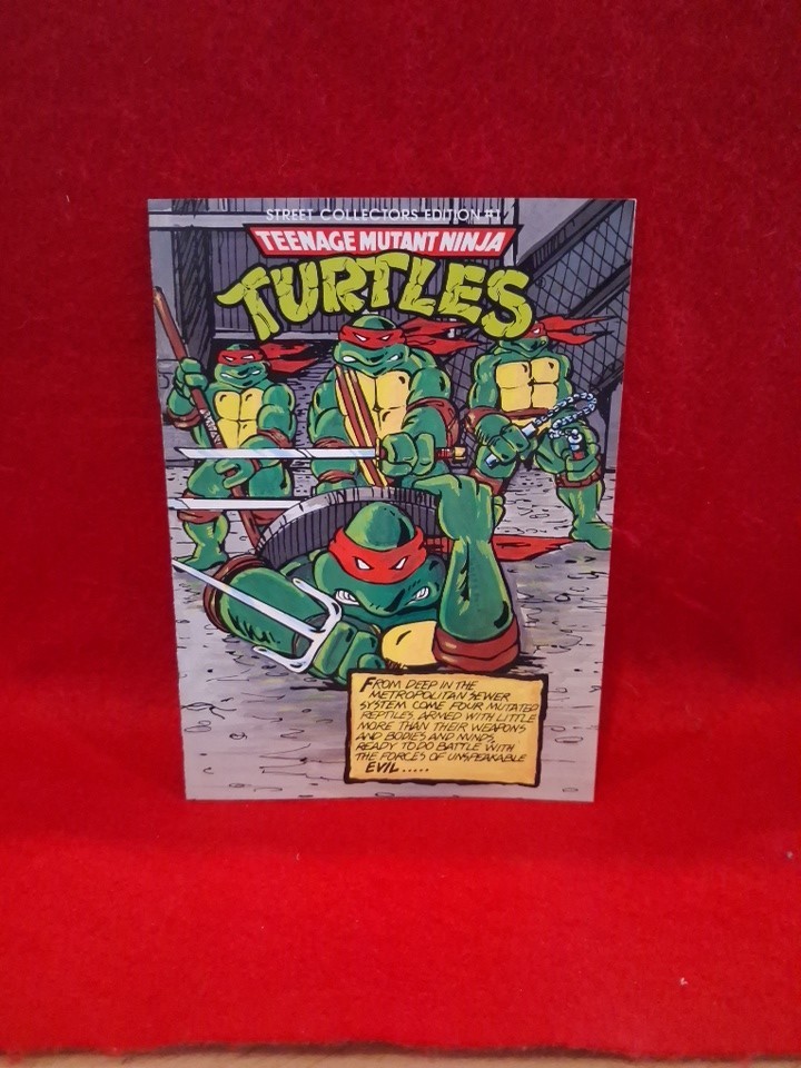TEENAGE MUTANT NINJA TURTLES Street Collectors Edition #1 FAN CLUB MINI COMIC