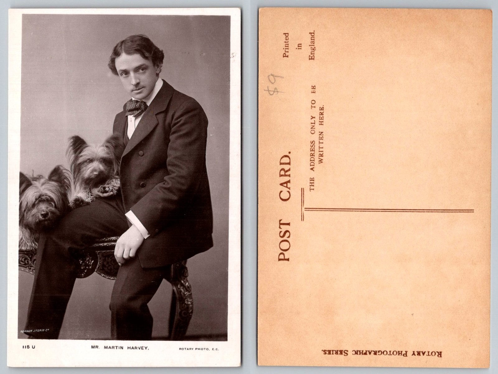 Mr Martin Harvey Actor Two Dogs Rotary Photographic Postcard