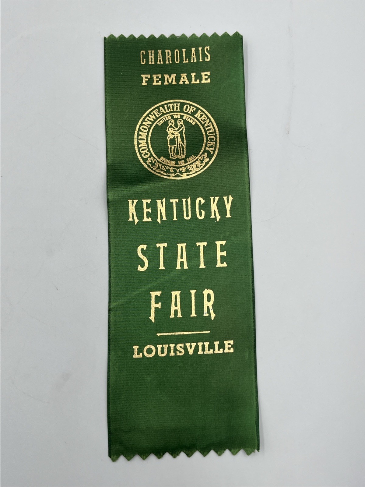 Vintage Kentucky State Fair Louisville Green Ribbon Prize Charolais Female Cow
