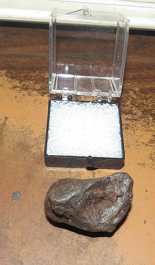 38 Gm CANYON DIABLO IRON METEORITE  TOP  GRADE ARIZONA  CASE INCLUDED