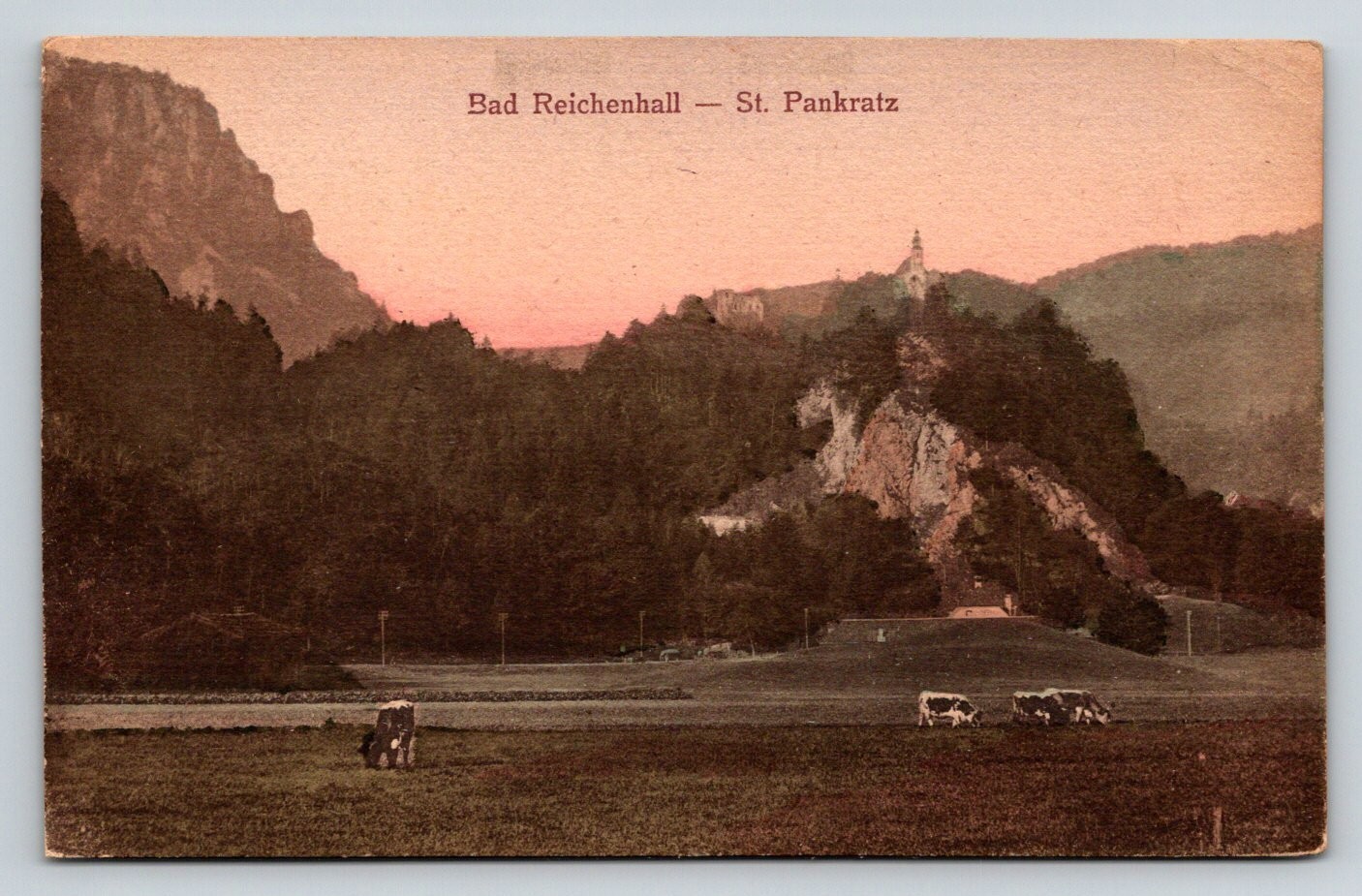 Vintage Bad Reichenhall St. Pankratz Germany Postcard 1916 Cows Mountains Church