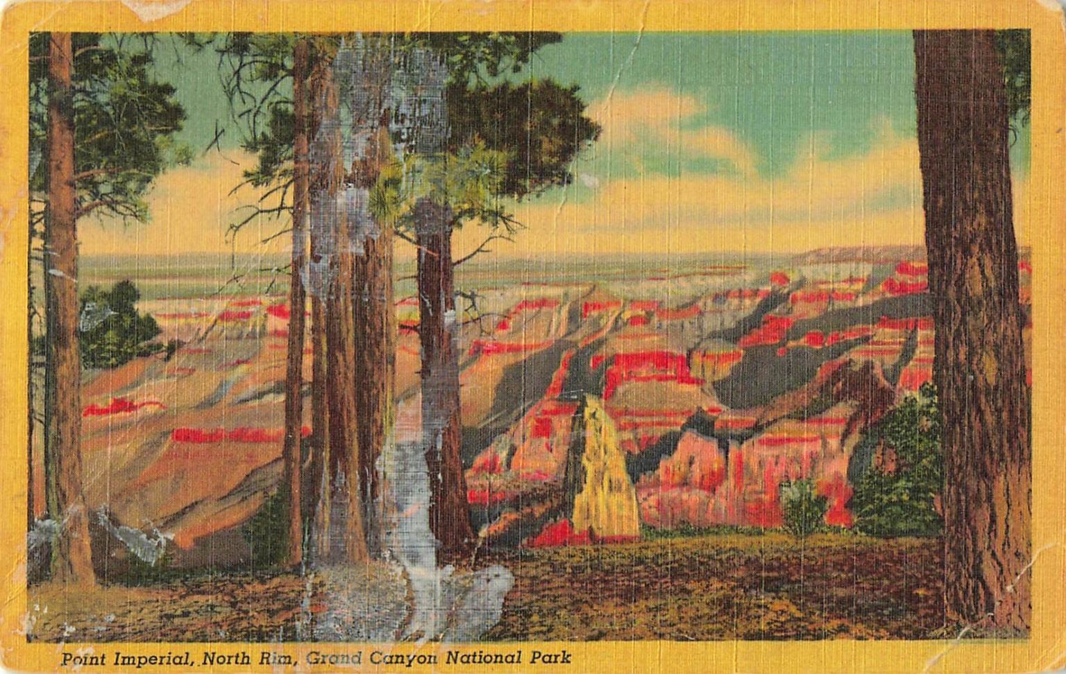 Point Imperial Grand Canyon North Rim UT 1956 Curteich C.T. Art Colortone