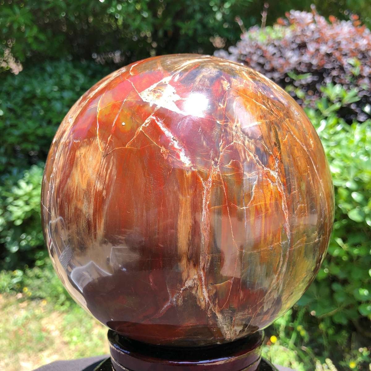 11.94 LB Large Natural Petrified Wood Agate Sphere Crystal Healing Specimen 5653