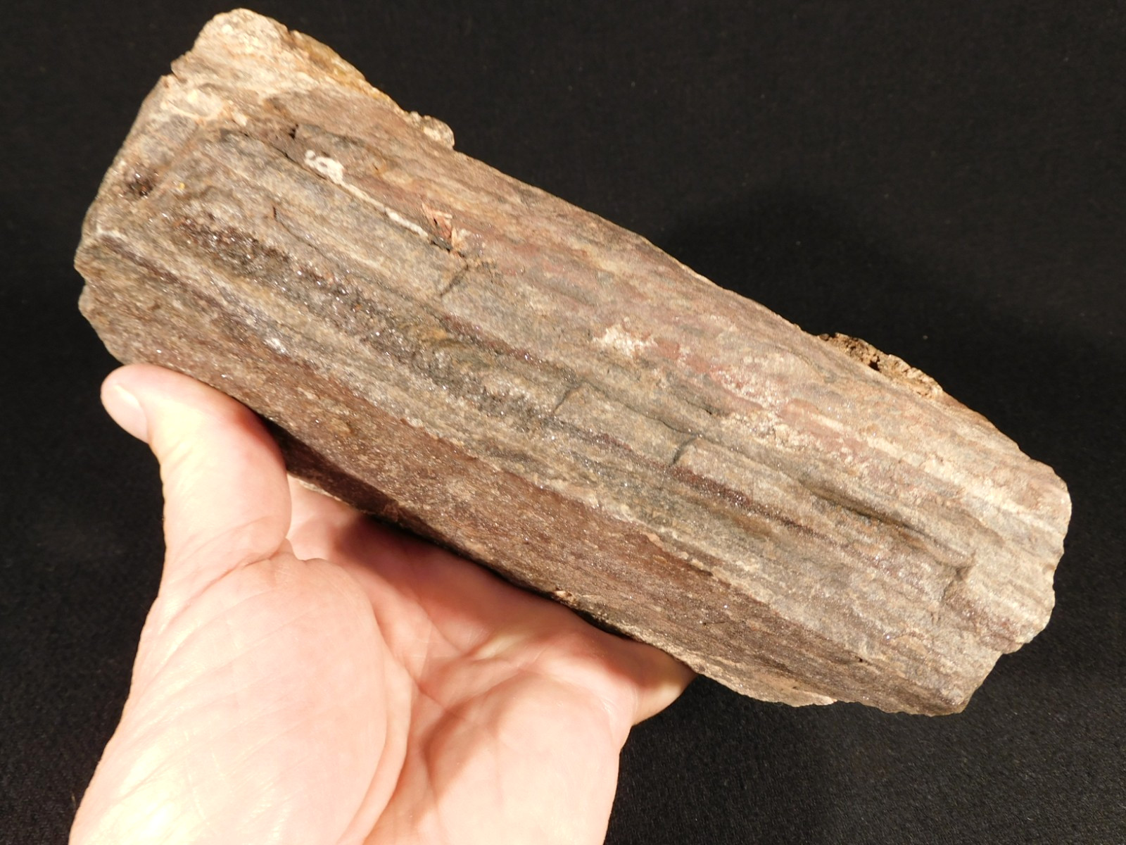 Well Defined BARK Big 100% Natural Petrified Wood Fossil Jurassic Utah 2192gr