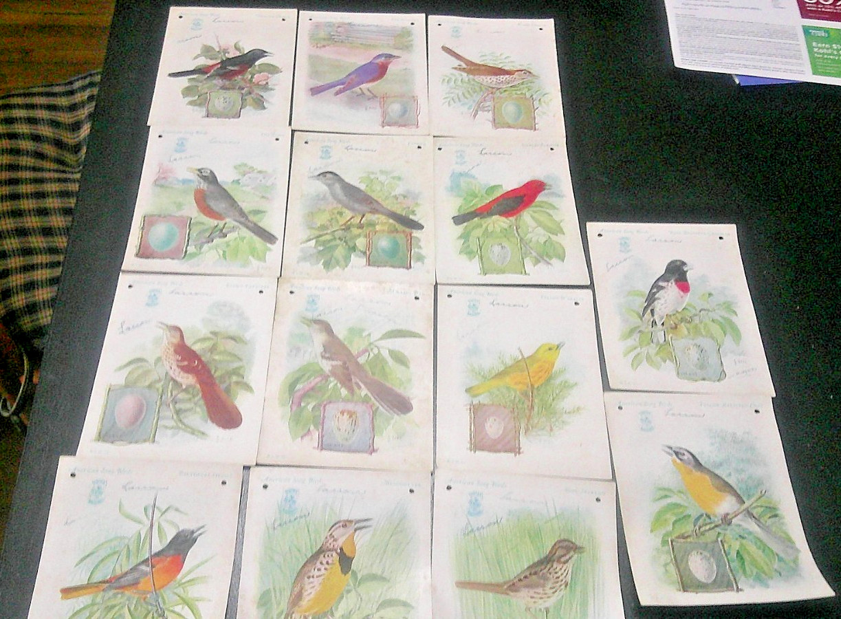 Circa 1927 Set of 14 Singer Sewing Machines American Song Bird Trade Cards
