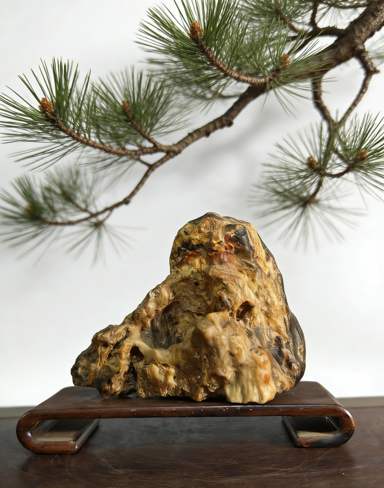 #11047.natural chinese Suiseki Bonsai Fossilized wood stone-collector's grade