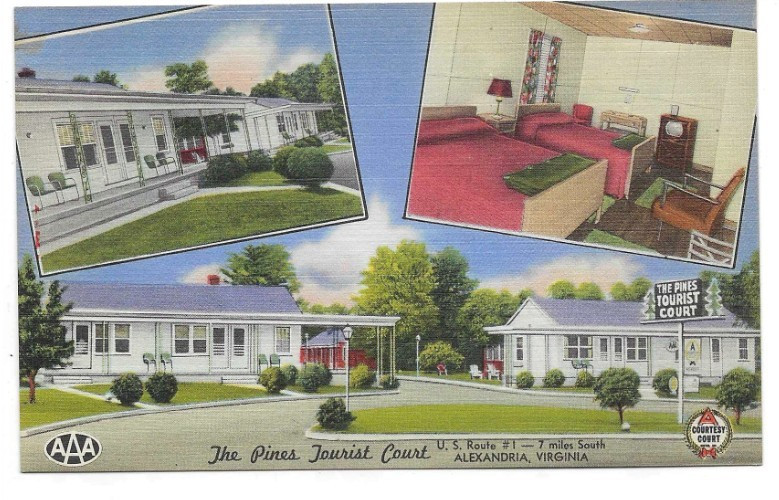 LINEN Postcard       THE PINES TOURIST COURT  -  ALEXANDRIA, VIRGINIA