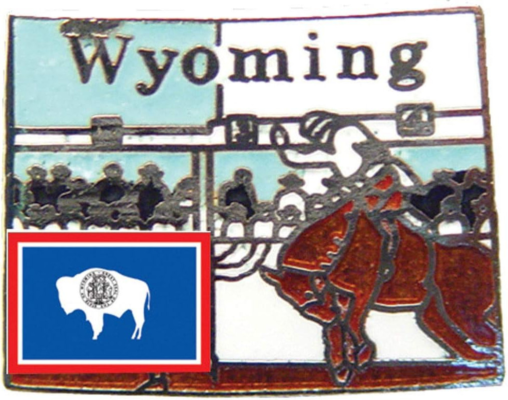 Wyoming State Shaped Map Lapel Metal Pin