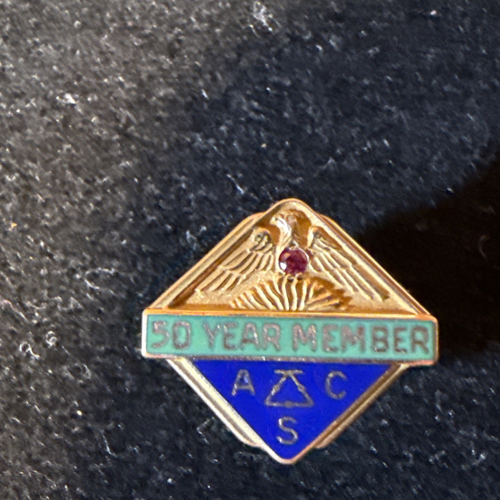 Vintage American Chemical Society ACS 50 Year Member 10K Gold Pin