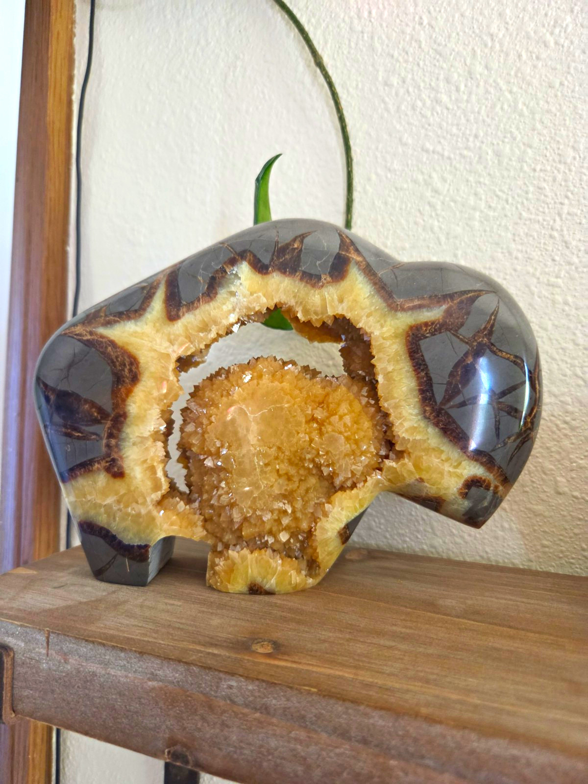 Septarian nodule buffalo carving buffalo heart