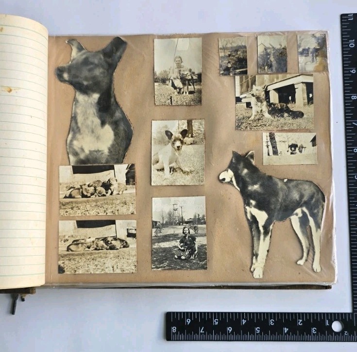 1940s-50s Vintage DOG PHOTO ALBUM 100+ Original Photos Raleigh NC Named Pets 
