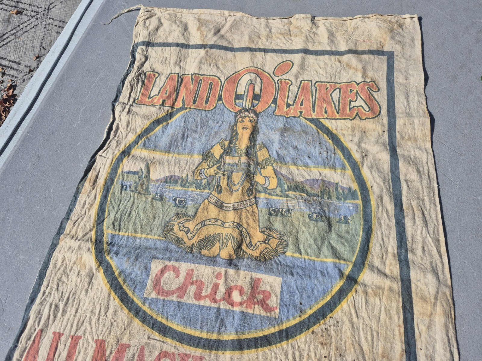 1950s Land O Lakes Creamery Chicken All Mash Starter Sack Indian Maiden Graphics