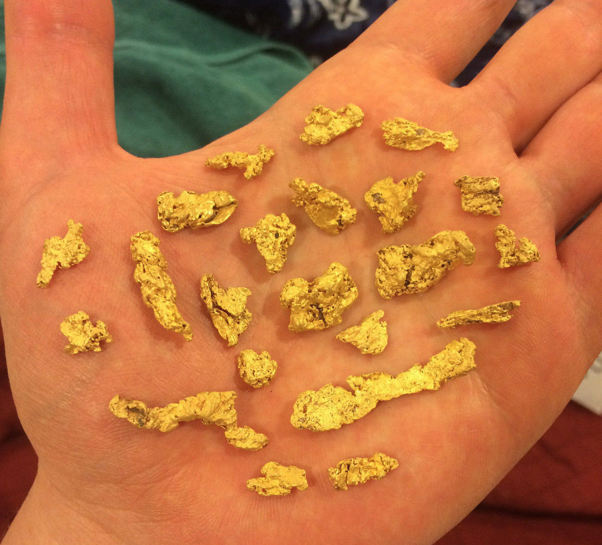 12 oz GOLD PAYDIRT unsearched and added gold panning alaska concentrates