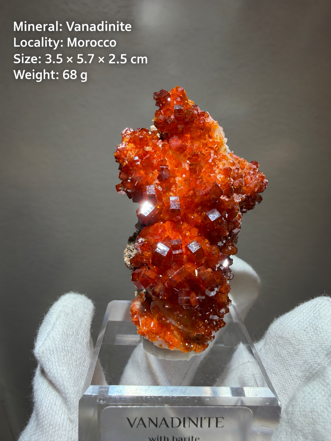 Classic Red Vanadinite Crystal Cluster – Cactus-Like Formation – Morocco – 68g