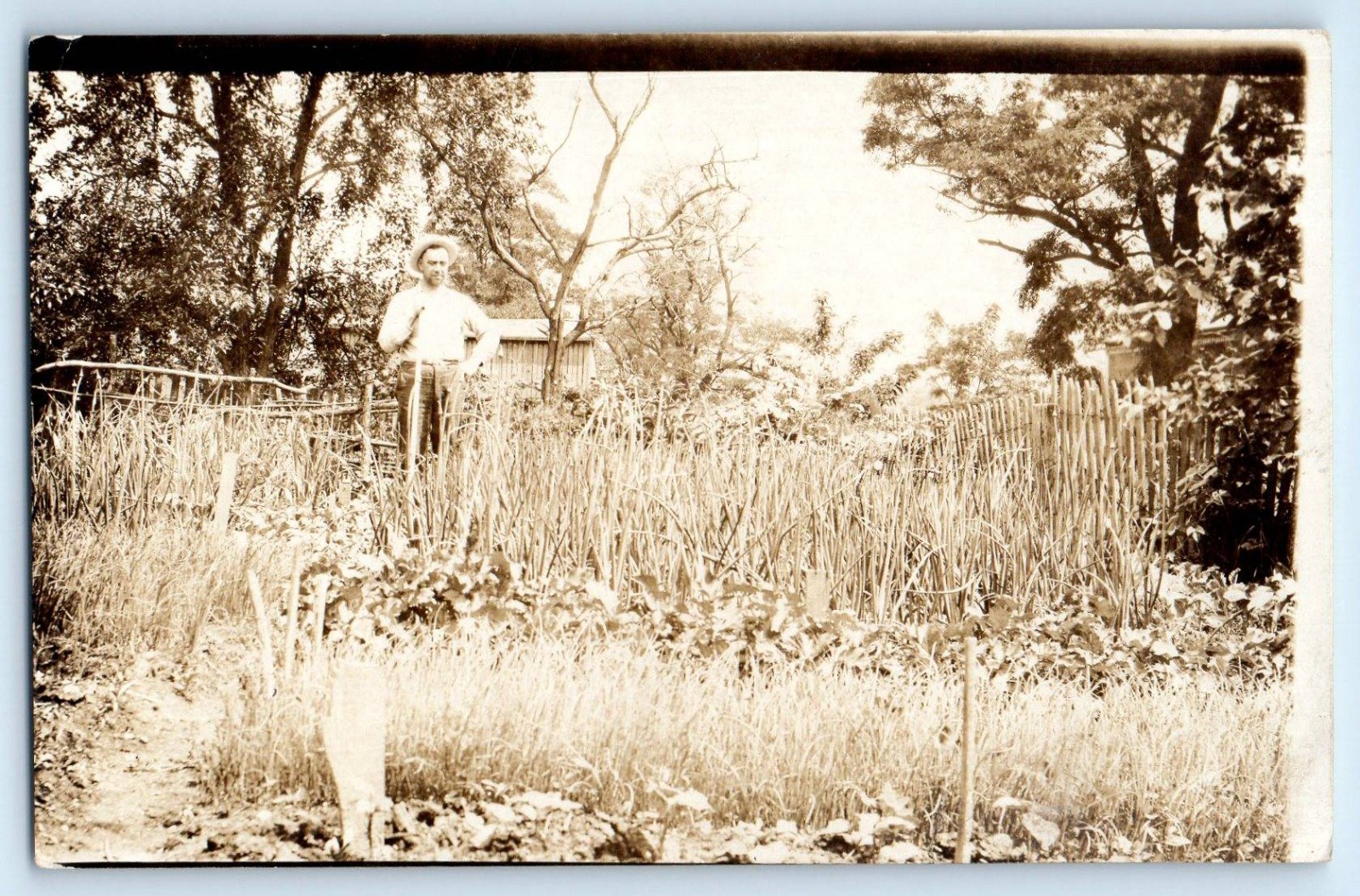 c1910's  Man House Garden Farming Scene Field RPPC Photo Antique Postcard