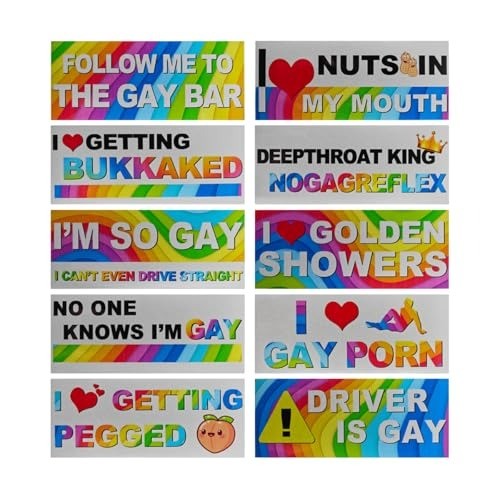 10PCS Funny Rainbow Magnetic Bumper Stickers - Hilarious Vehicle Decorations