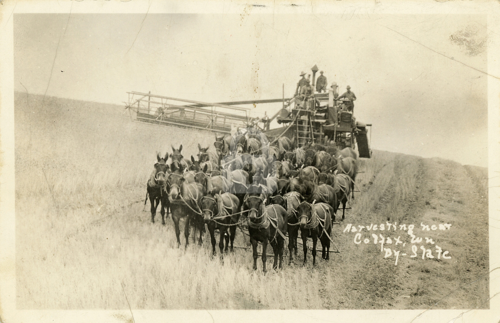 Wheat Harvesting c.1920s Colfax WA Washington RPPC Photo Postcard COPY