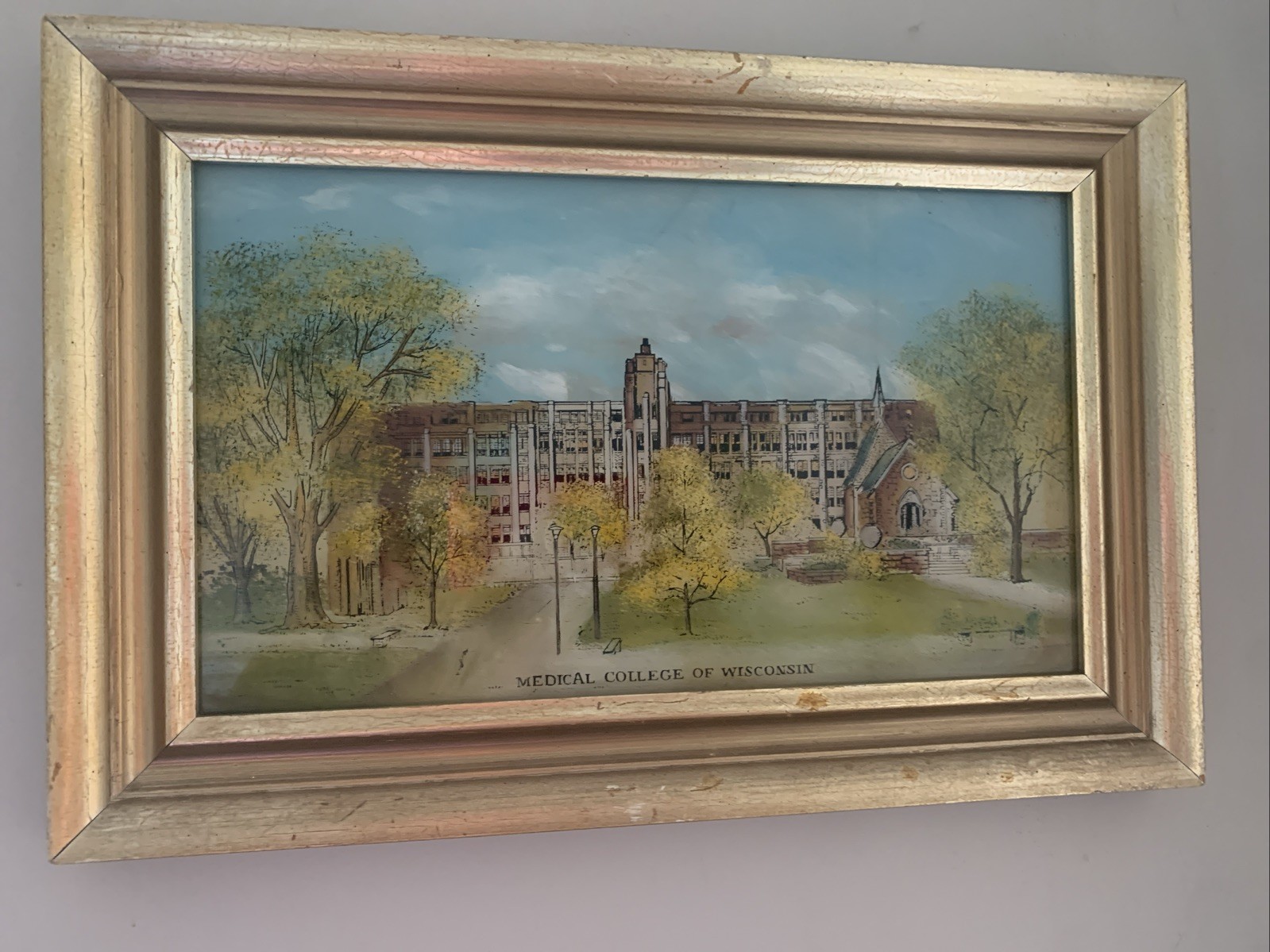 Medical College Of Wisconsin Picture Eglomise Designs Reverse  Painted  Glass.