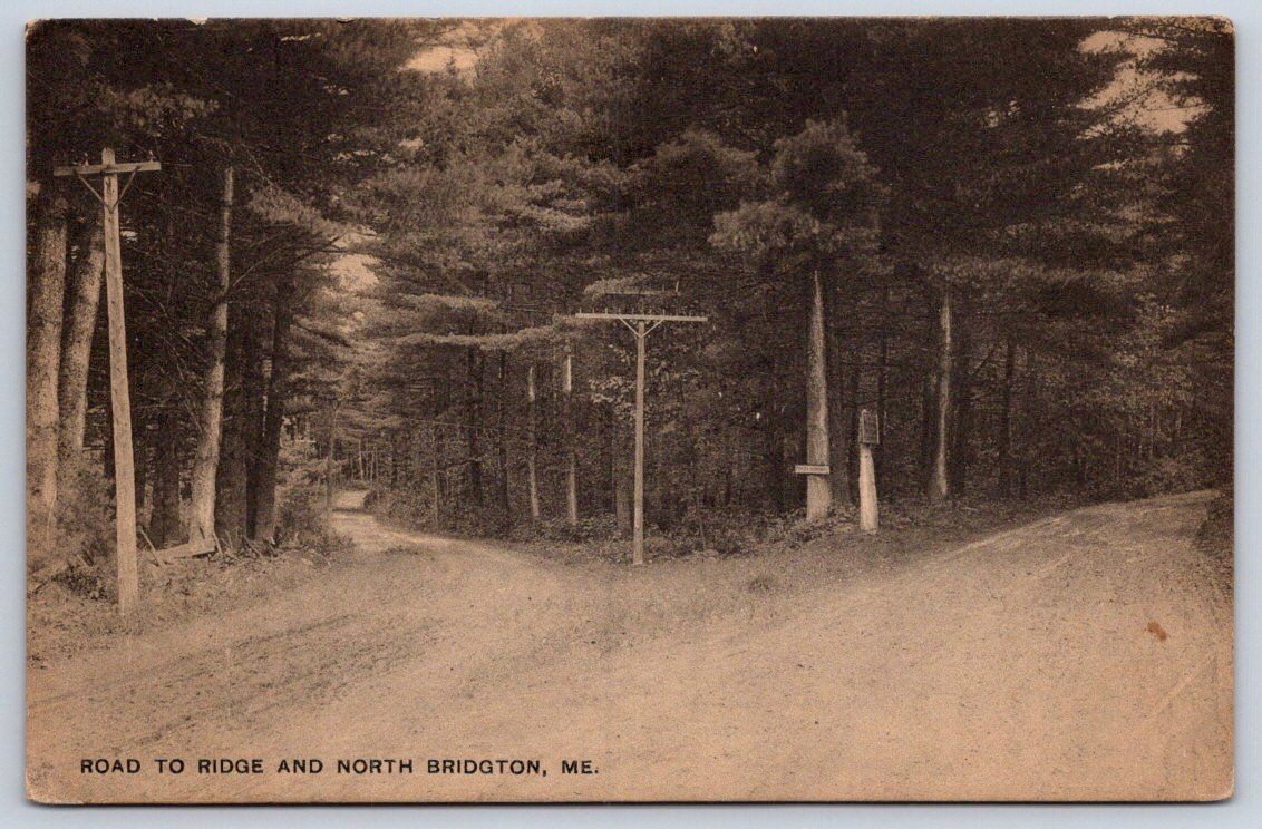 Antique Maine Postcard Road TO Ridge And North BRIDGTON 1915 Rppc