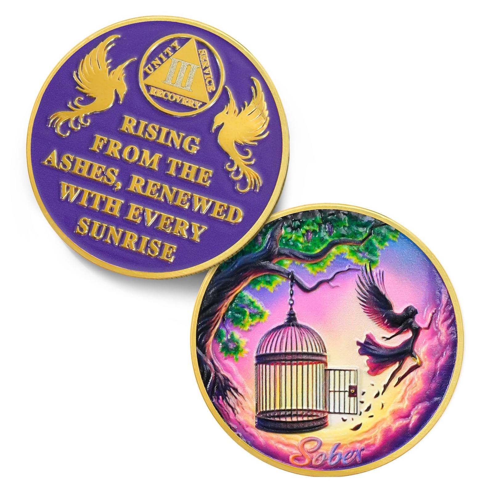 Break Free 3 Year Sobriety Coin - Rising from The Ashes Phoenix 3 Year AA Coi...