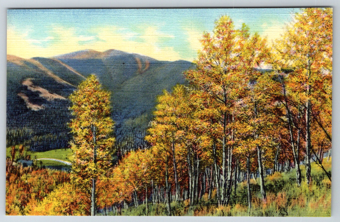 c1940s When Autumn Paints Trees Magic Colors Denver CO Linen