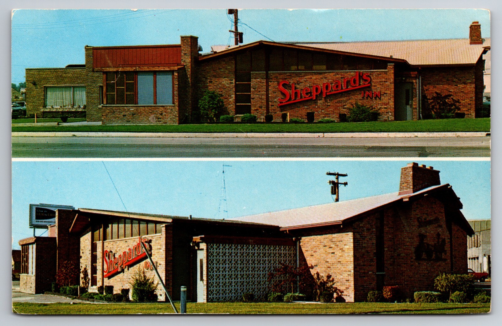 Sheppard's Inn Fraser Michigan MI Chrome c1950 Postcard