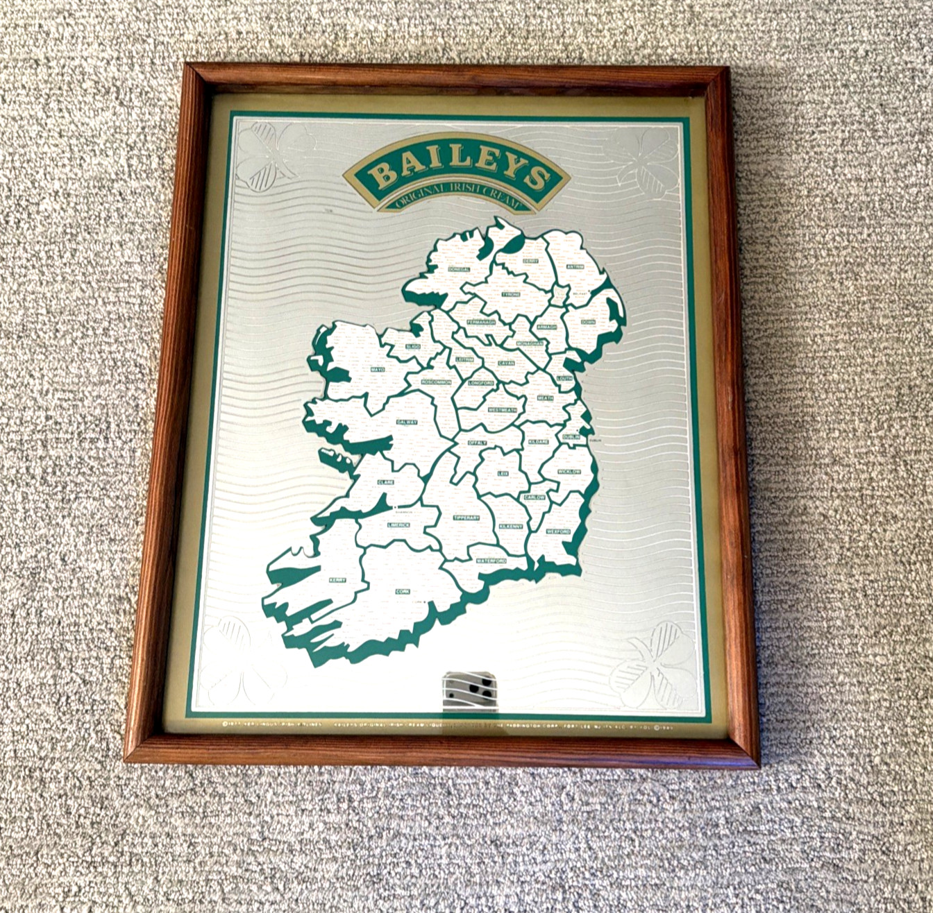 Rare Vintage Baileys Irish Cream / Aer Lingus Map of Ireland Bar Mirror Sign