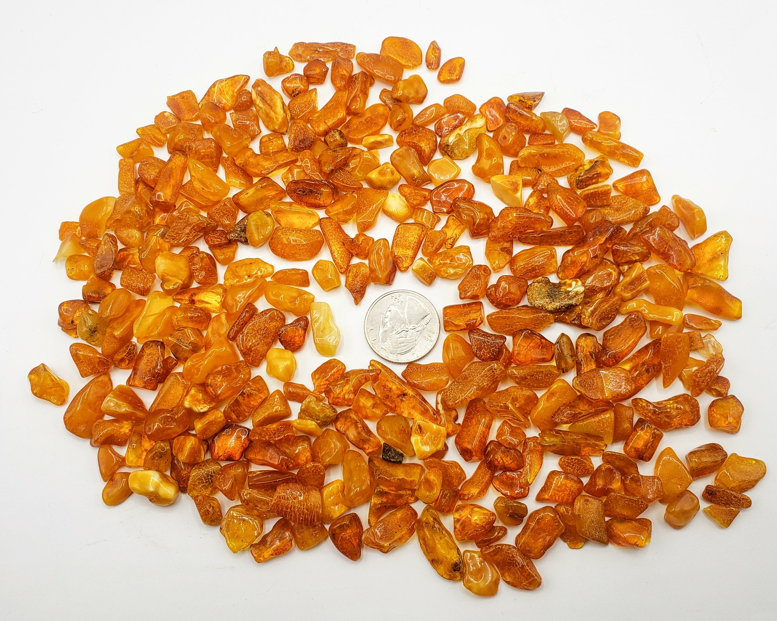 amber tumbled chips wholesale amber bulk 100g lot