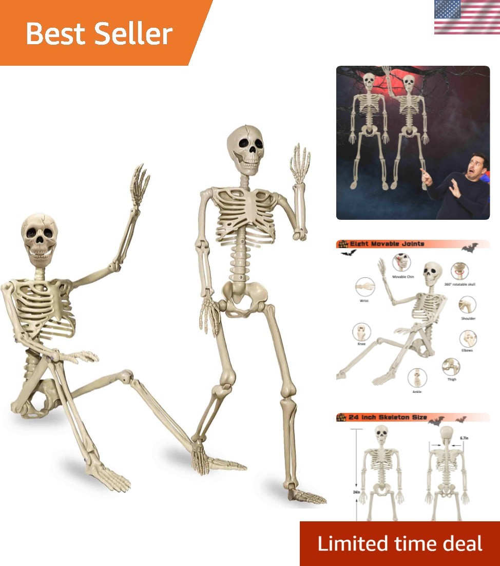2 Pack 24 2 Pack 24