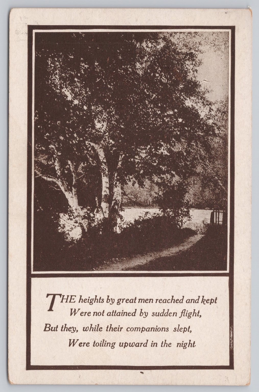 1913 New York Postcard - Inspirational Quote & Birch Trees Sepia Print