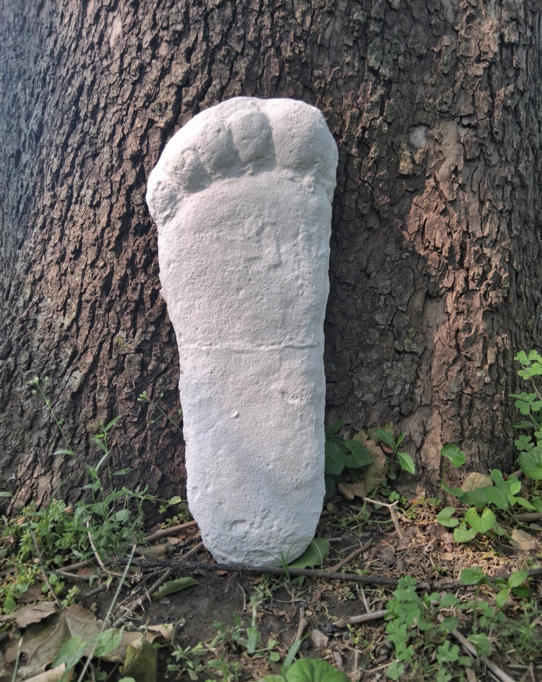 Bigfoot Plaster Cast CA-10 Large Footprint Patterson Site