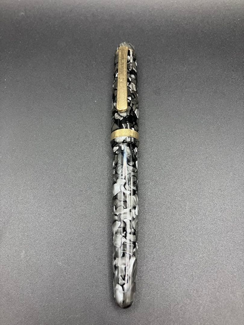 Platinum #3776 Century Celluloid Fountain Pen [M] Black White Marble Japan