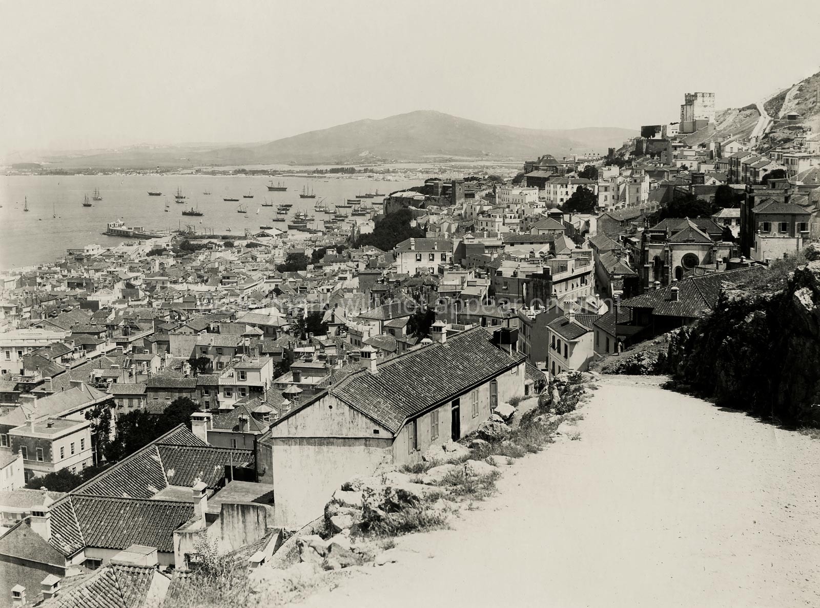 Gibraltar Island Cityscape Harbor Seascape Fortress Ships Vtg. Photo 19thC.