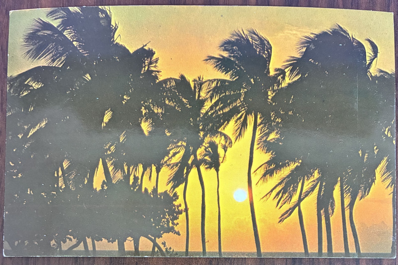 Miami Beach FL Florida Sunrise On The Florida Coast Chrome Postcard Unposted