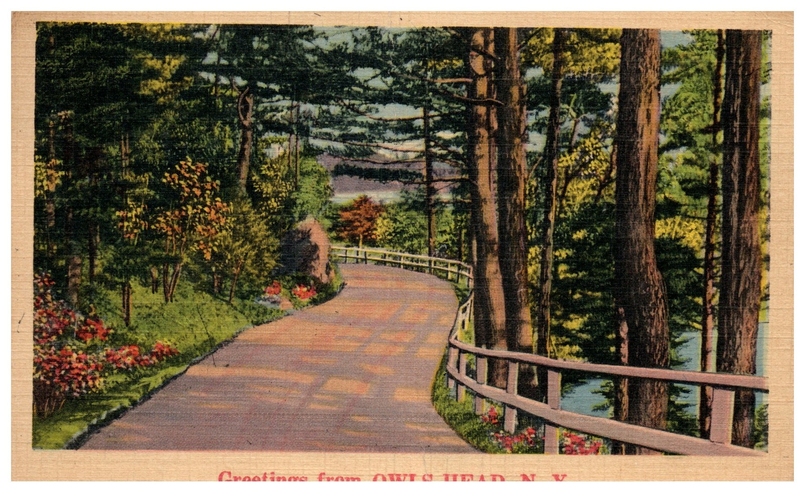 1943 OWLS HEAD MALONE NEW YORK NY WOODED ROAD CHROME SCENIC POSTCARD P8556