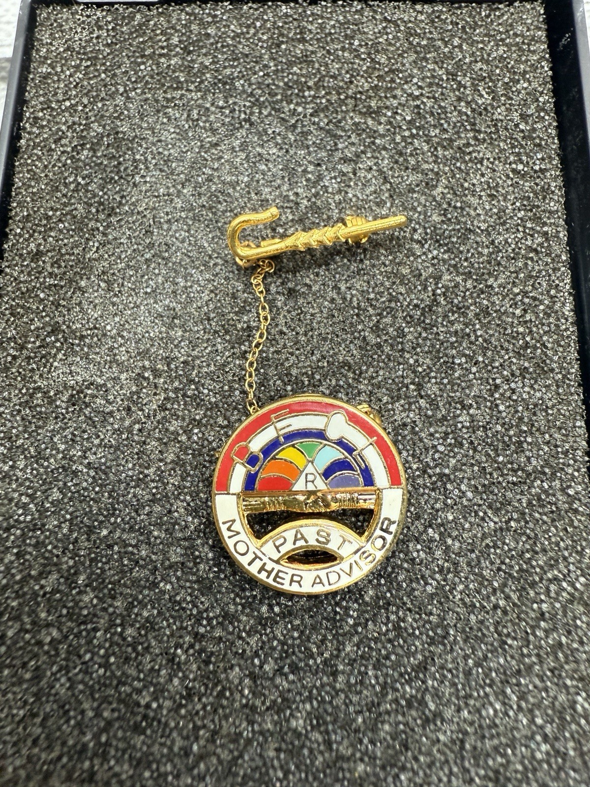 Vintage BFCL Rainbow Girls Worthy Advisor Pin