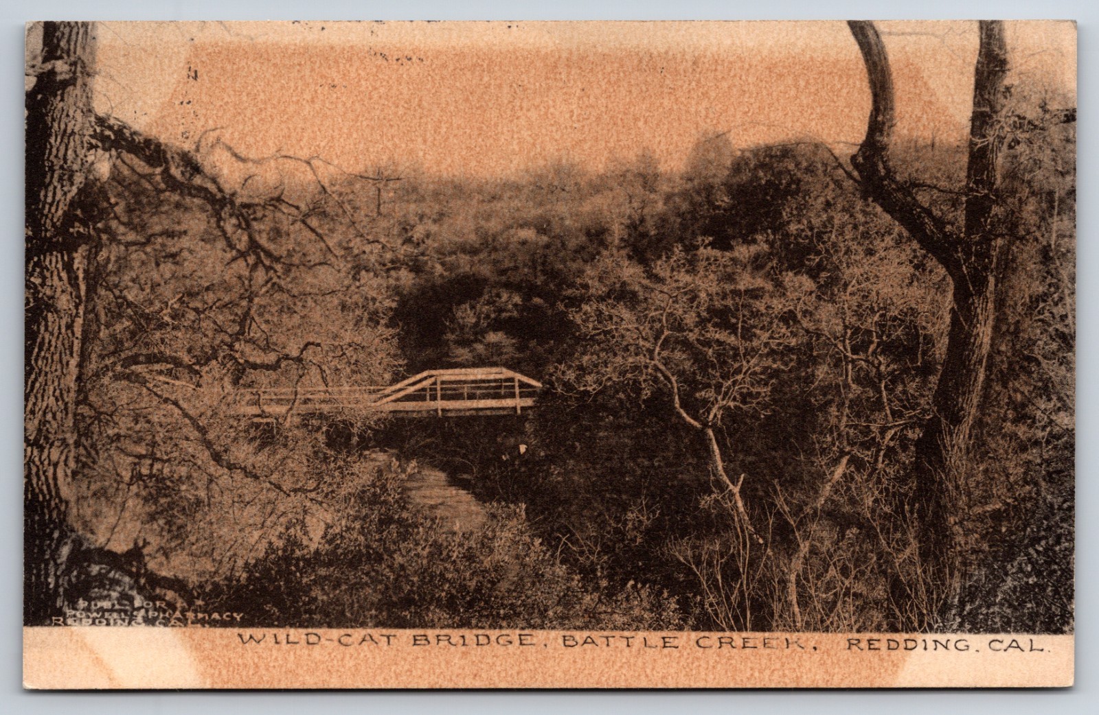 Wildcat Bridge Battle Creek Redding California CA Albertype c1908 Postcard