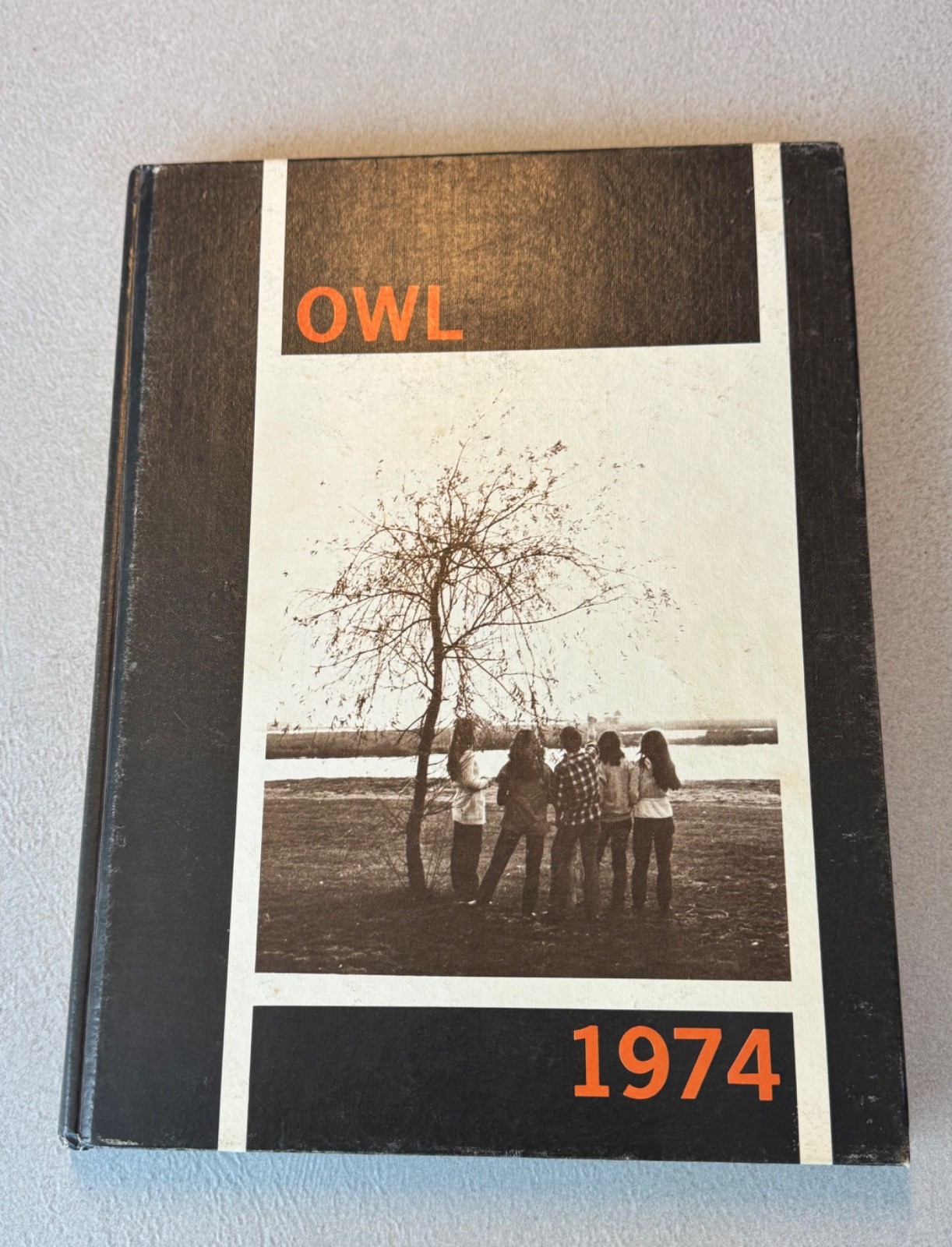1974 Lynbrook Senior High School Yearbook, Lynbrook NY, 