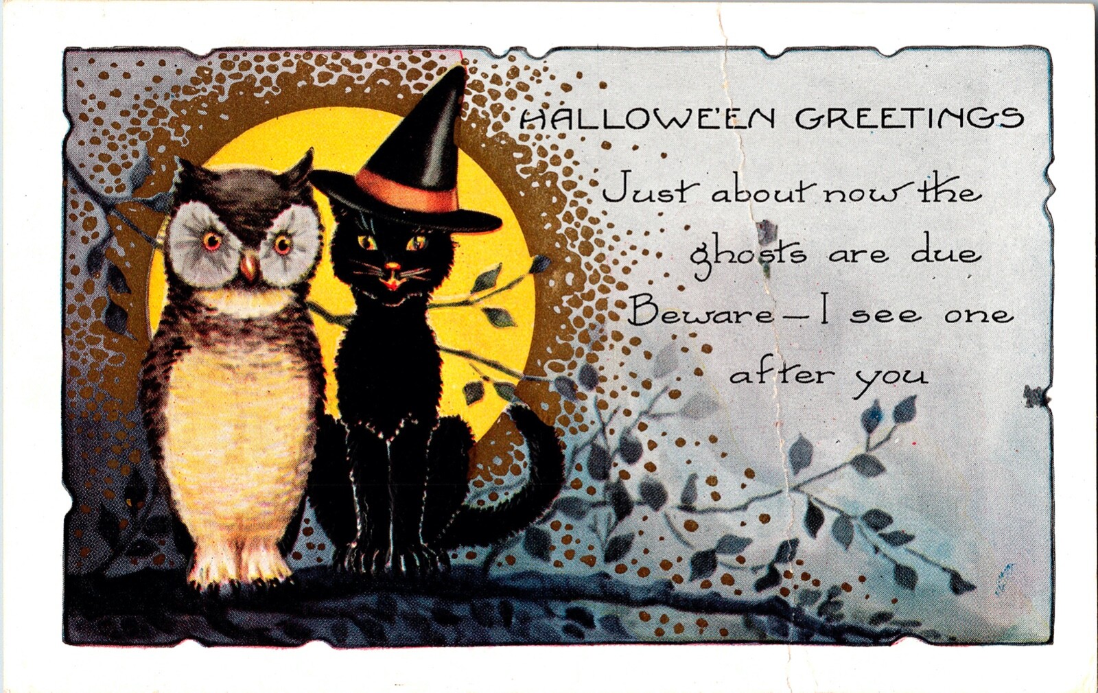 Vintage Whitney Anthropomorphic Owl & Black Cat Witch Hat Halloween Postcard