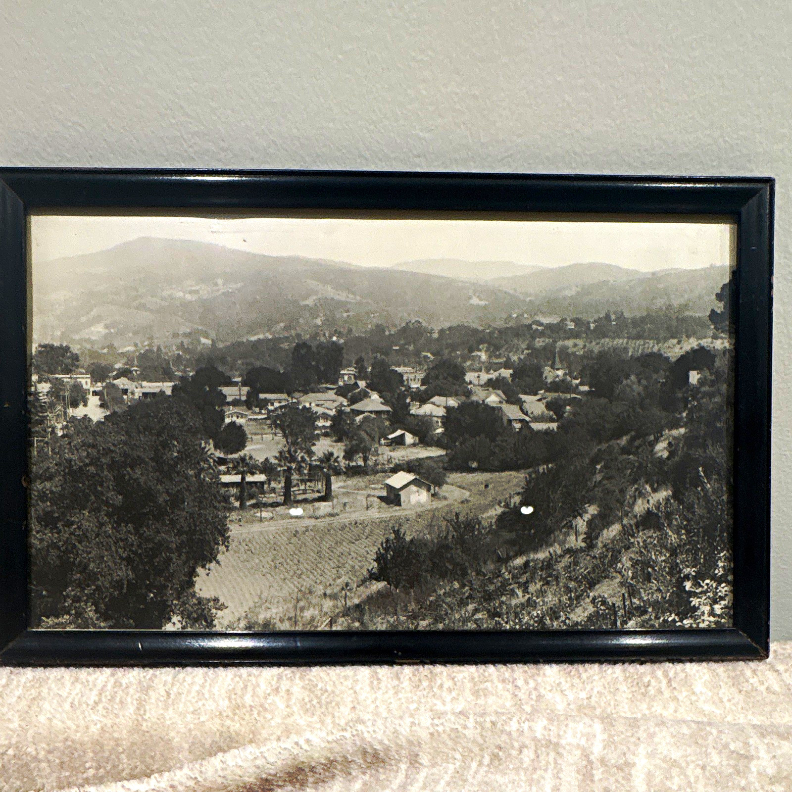 1924 Original Framed Black & White Los Gatos CA Cityscape Photo D. Conrad