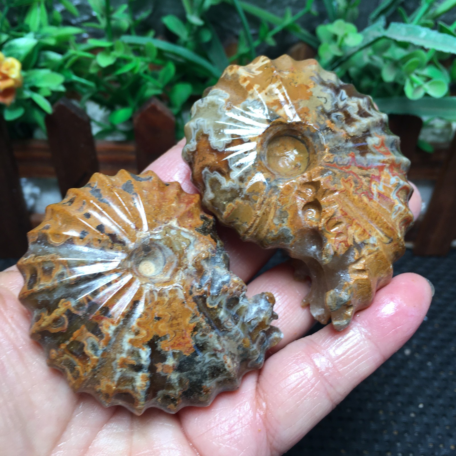 199g 2pcs natural crystal Stone sculptor decoration Specimen fb1977 199g 2pcs natural crystal Stone sculptor decoration Specimen fb1977
